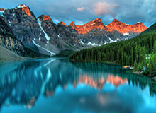 超开心！球迷赛后获得约克雷斯签名兴奋欢呼